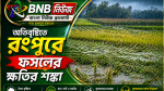 অতিবৃষ্টিতে রংপুরে ফসলের ক্ষতির শঙ্কা