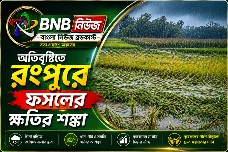অতিবৃষ্টিতে রংপুরে ফসলের ক্ষতির শঙ্কা