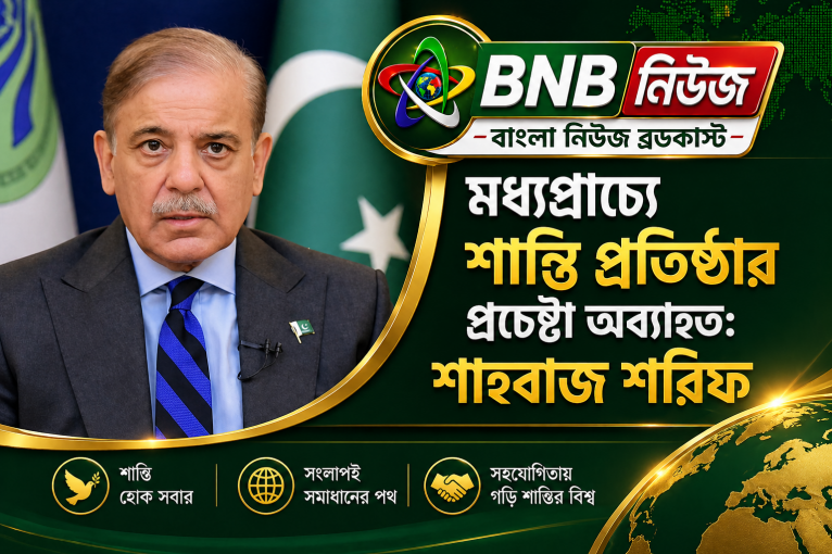 মধ্যপ্রাচ্যে শান্তি প্রতিষ্ঠার প্রচেষ্টা অব্যাহত: শাহবাজ শরিফ