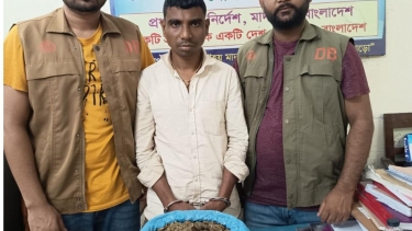 কুলাউড়ায় ডিবি পুলিশের অভিযানে ১ কেজি গাঁজাসহ গ্রেফতার ১