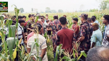 লালমনিরহাটে ৩৩ জনকে পুশইনের চেষ্টা বিএসএফের, রুখে দিলো বিজিবি