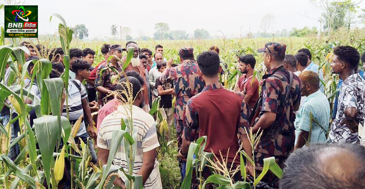 লালমনিরহাটে ৩৩ জনকে পুশইনের চেষ্টা বিএসএফের, রুখে দিলো বিজিবি