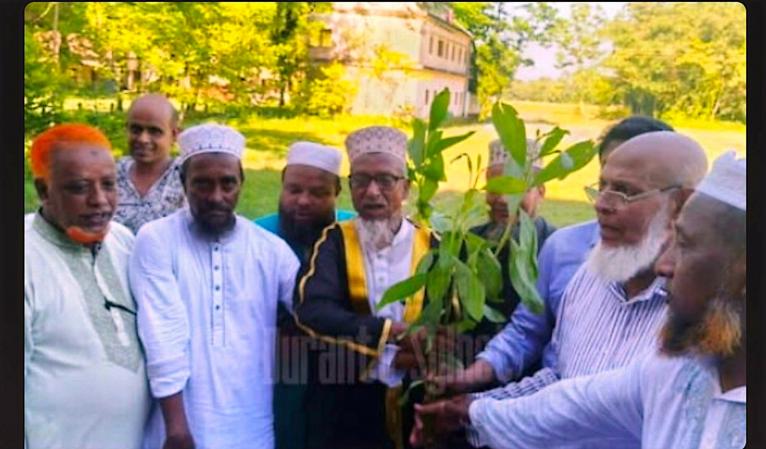 চারা বিতরণ ও দোয়া মাহফিলে বিশ্বনাথে জাতীয় সুন্নী ওলামা মাশায়েখ পরিষদ